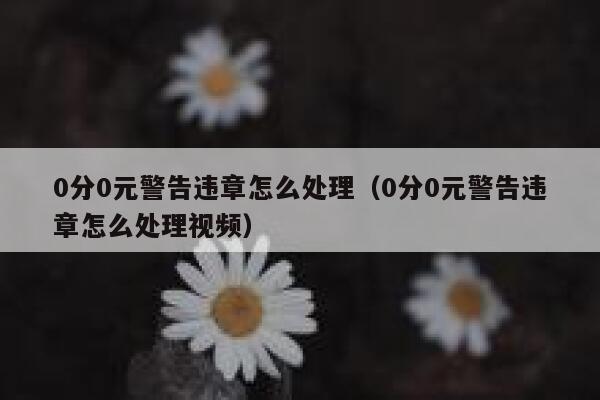 0分0元警告违章怎么处理（0分0元警告违章怎么处理视频） 第1张