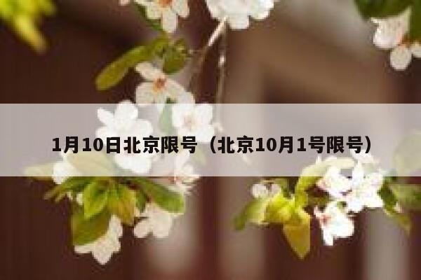 1月10日北京限号（北京10月1号限号）限行