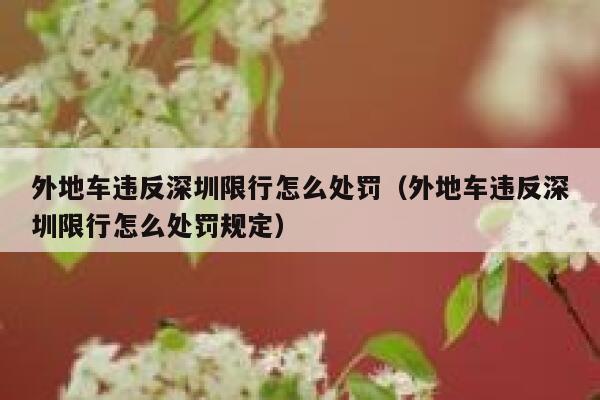 外地车违反深圳限行怎么处罚（外地车违反深圳限行怎么处罚规定） 第1张