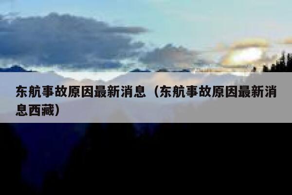 东航事故原因最新消息（东航事故原因最新消息西藏） 第1张