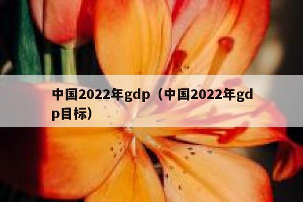 中国2022年gdp（中国2022年gdp目标）限行