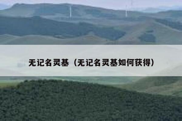 无记名灵基（无记名灵基如何获得）限行