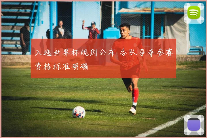 入选世界杯规则公布 各队争夺参赛资格标准明确