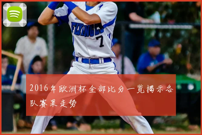 2016年欧洲杯全部比分一览揭示各队赛果走势