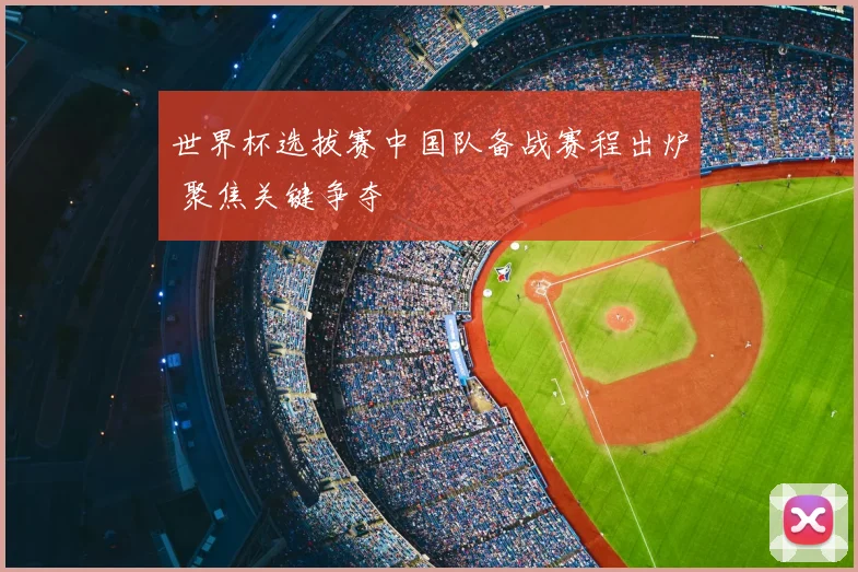 世界杯选拔赛中国队备战赛程出炉 聚焦关键争夺