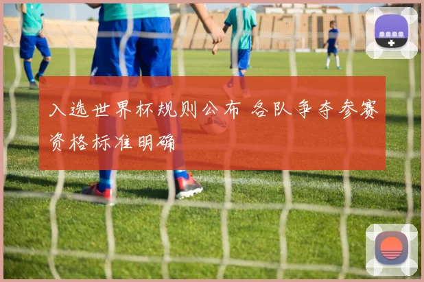 入选世界杯规则公布 各队争夺参赛资格标准明确