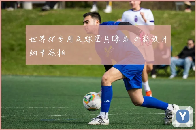 世界杯专用足球图片曝光 全新设计细节亮相