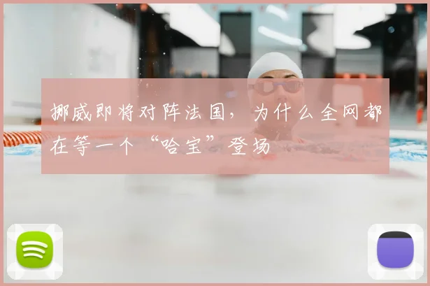 挪威即将对阵法国，为什么全网都在等一个“哈宝”登场