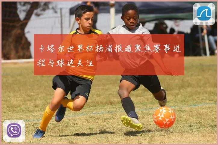 卡塔尔世界杯杨浦报道聚焦赛事进程与球迷关注