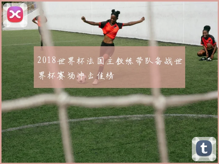 2018世界杯法国主教练带队备战世界杯赛场冲击佳绩