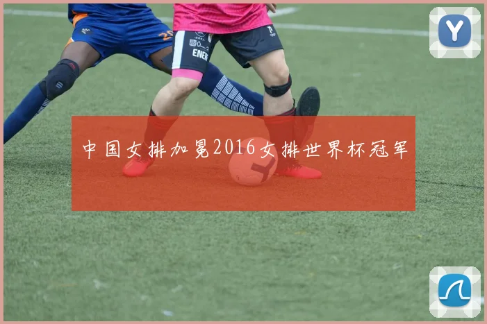 中国女排加冕2016女排世界杯冠军