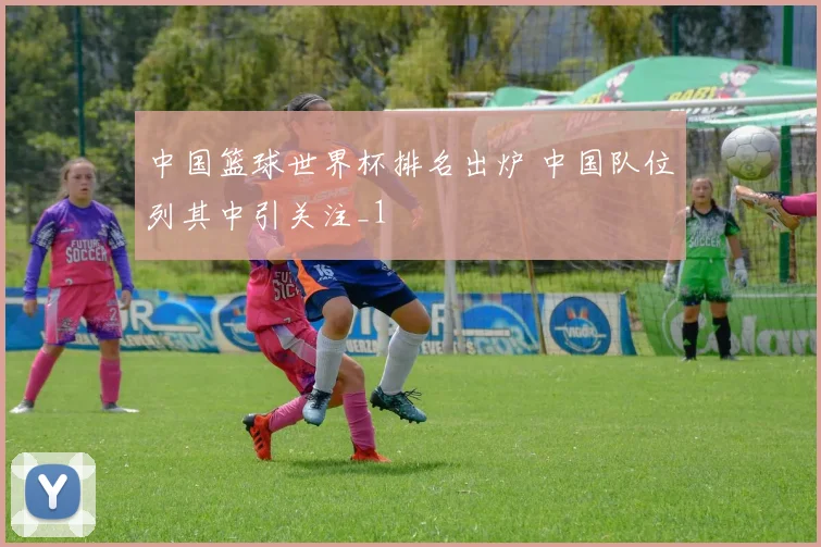 中国篮球世界杯排名出炉 中国队位列其中引关注_1
